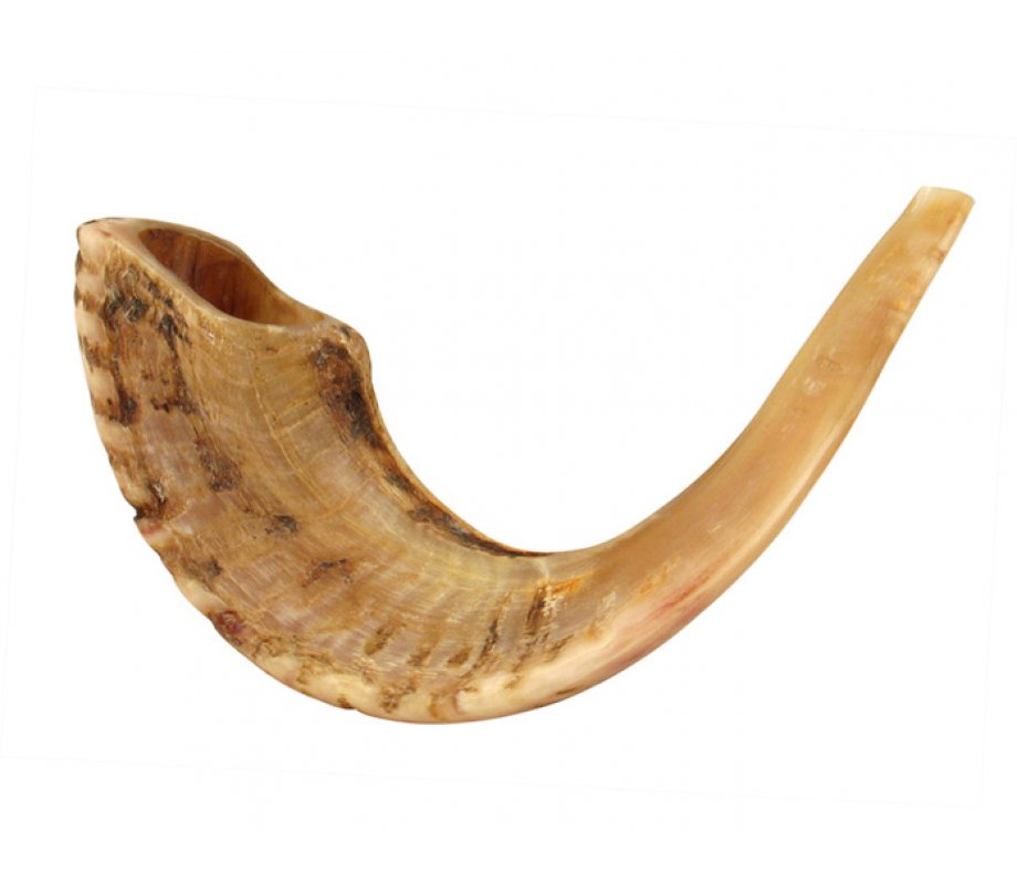Gift Box Shofar Set with Natural Ram's Horn, spray and pouch