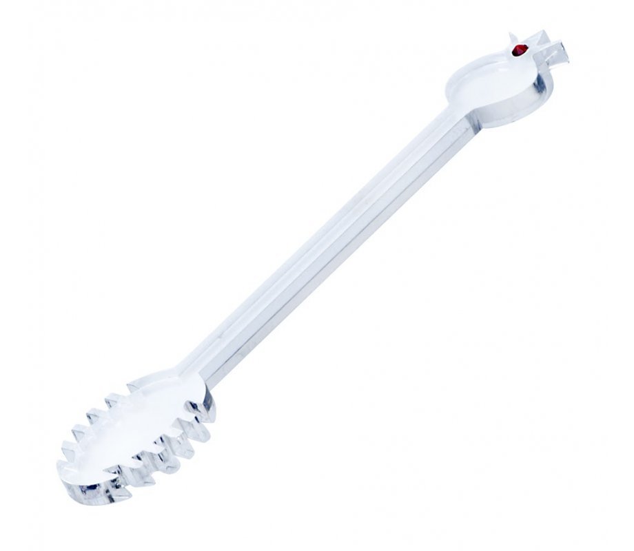 Glass and Stainless Steel Honey Dish with Spoon, Pomegranates - Dorit Judaica