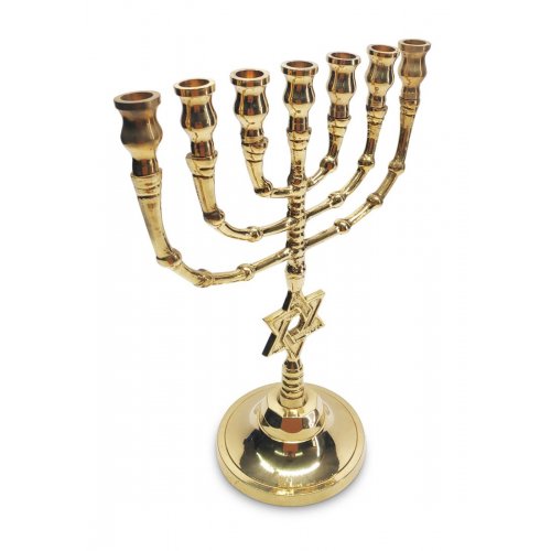 Gleaming Gold Brass Seven Branch Menorah, Decorative Star of David on Stem - 10