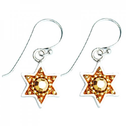 Gold Color Star of David Earrings - Ester Shahaf