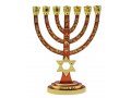 Gold Seven Branch Menorah, Red Enamel with Star of David & Judaic Symbols - 9.5