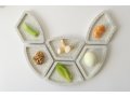 Graciela Noemi Handcrafted Passover Seder Plate - Modular