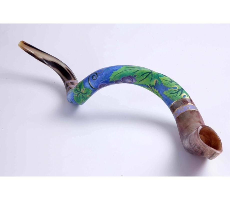 Grape Design Hand Painted Yemenite Shofar