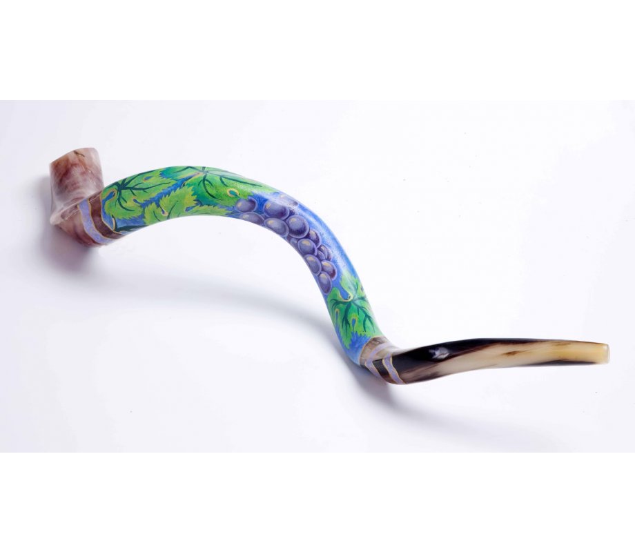 Grape Design Hand Painted Yemenite Shofar