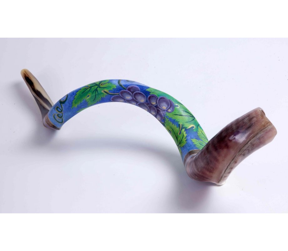Grape Design Hand Painted Yemenite Shofar