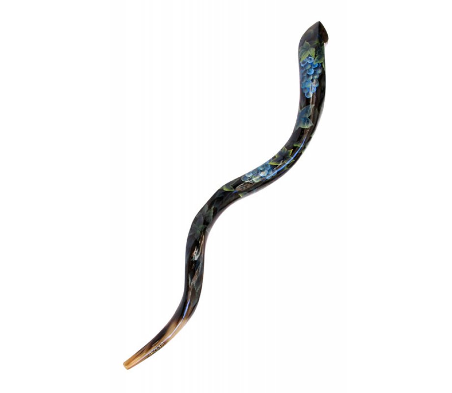 Grapevine Hand Painted Yemenite Shofar