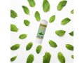 H&B Healing Lip Balm for Dry, Chapped Lips - Mint