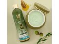 H&B Olive Oil and Honey Treatment Shampoo with Minerals from the Dead Sea