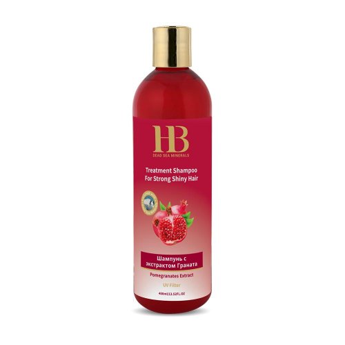 H&B Treatment Shampoo with Extracts from Pomegranates and Dead Sea Minerals