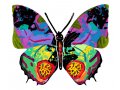 Hadar Butterfly Steel Double Sided Wall Sculpture - David Gerstein