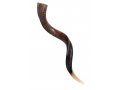 Half Polished Half Natural Yemenite Shofar - Large