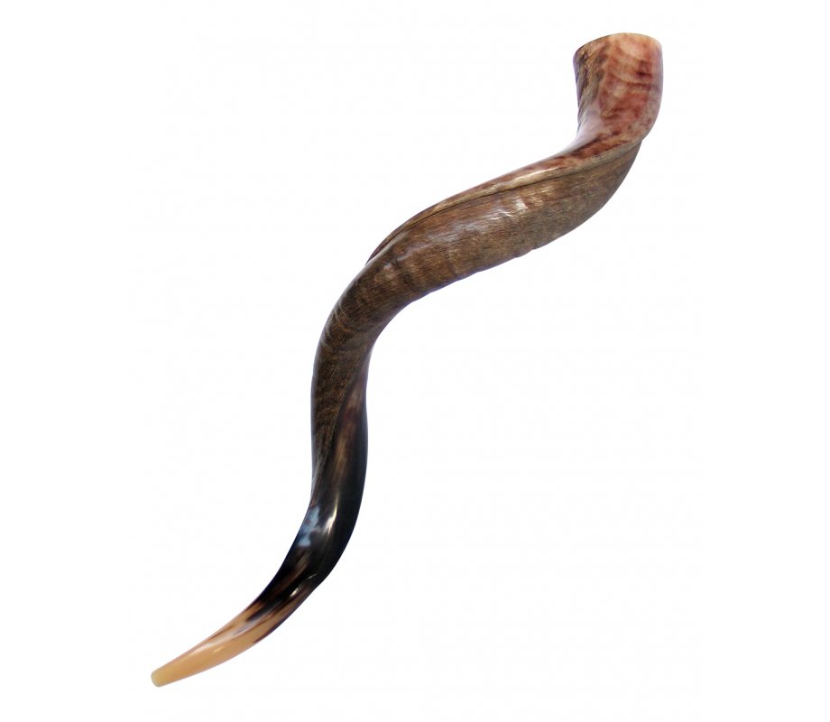 Half Polished Half Natural Yemenite Shofar - Large