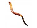 Hand Painted Yemenite Shofar - Pomegranate