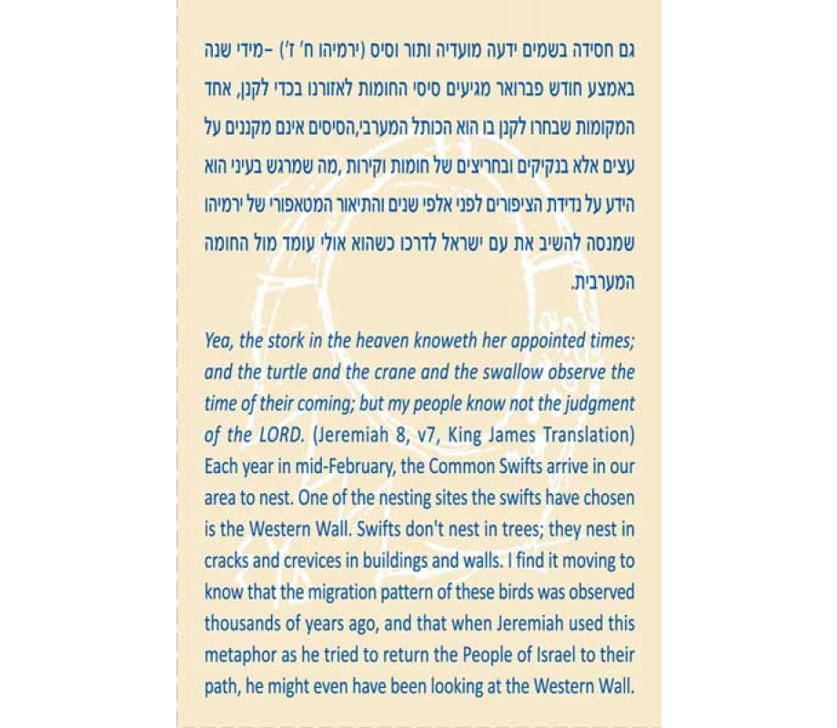 Jeremiah Blessing Birds in Flight Necklace - Nickel Silver by Shraga Landesman