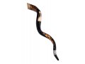 Jerusalem Temple Hand Painted Yemenite Shofar