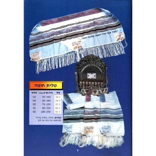 Jerusalem Wall Design Tallit