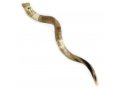 Jerusalem and Olive Tree Hand Painted Yemenite Shofar