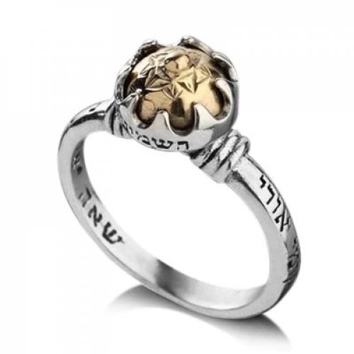 Kabbalah Ring Silver and Gold with Five Metals, Etched Verses & Cat's Eye Gem - Ha'Ari