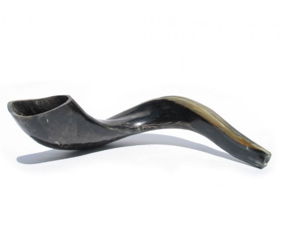 Large Polished Black Ram's Horn Shofar