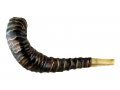 Leather Decorated Ram's Horn Shofar