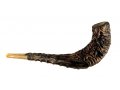 Leather Decorated Ram's Horn Shofar