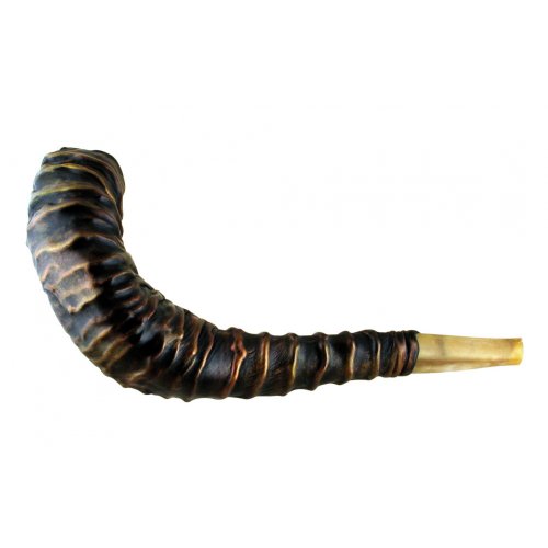 Leather Decorated Ram's Horn Shofar