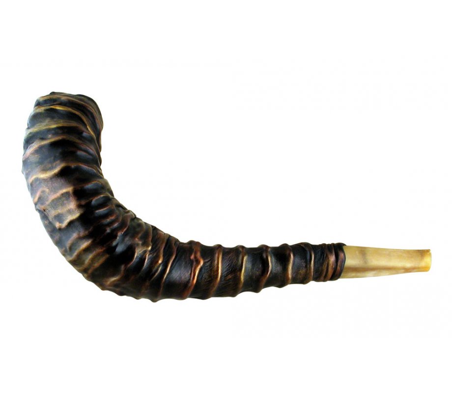 Leather Decorated Ram's Horn Shofar