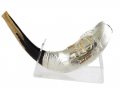 Limited Edition Sterling Silver Ram's Horn Shofar - Israel Celebrating 70