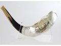 Limited Edition Sterling Silver Ram's Horn Shofar - Israel Celebrating 70