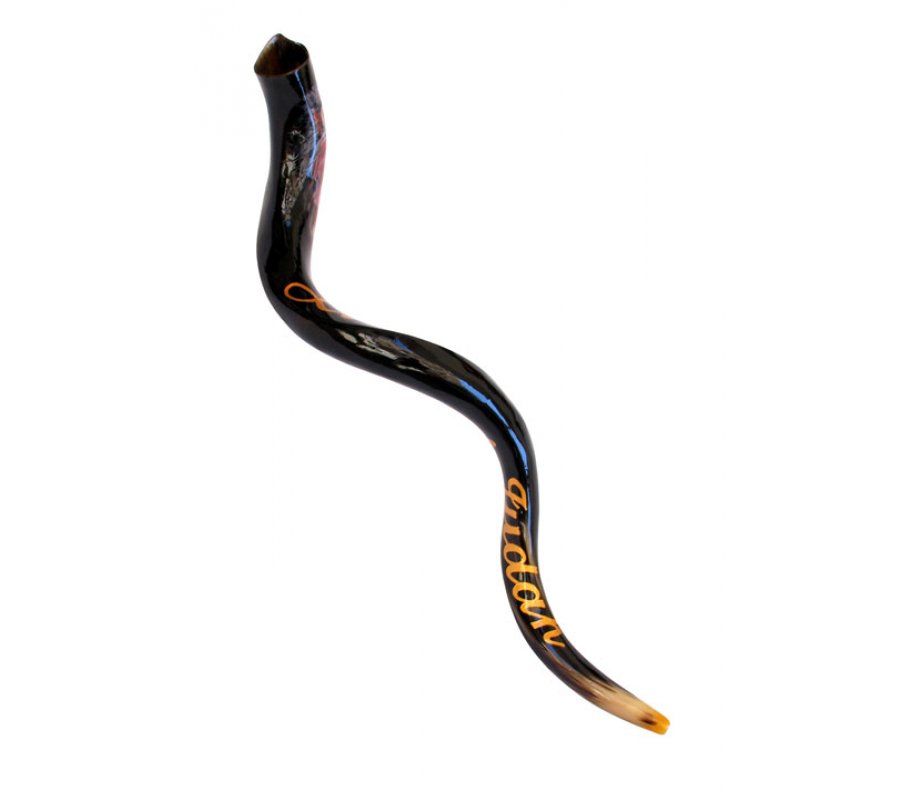 Lion of Judah Hand Painted Yemenite Shofar
