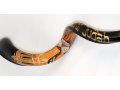 Lion of Judah with Crown Hand Painted Yemenite Shofar