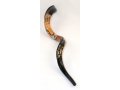 Lion of Judah with Crown Hand Painted Yemenite Shofar