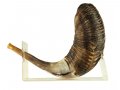 Lucite Shofar Stand for Large Ram's Horn of 18-23 Inches Long