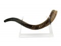 Lucite Stand for Yemenite Shofar Length 22-40 Inches