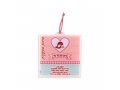 Lucite Wall Plaque with Baby Girl Blessings in Pink and Blue - Dorit Judaica