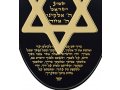 Nano Mens Onyx Shema Star of David Pendant by Nano Jewelry