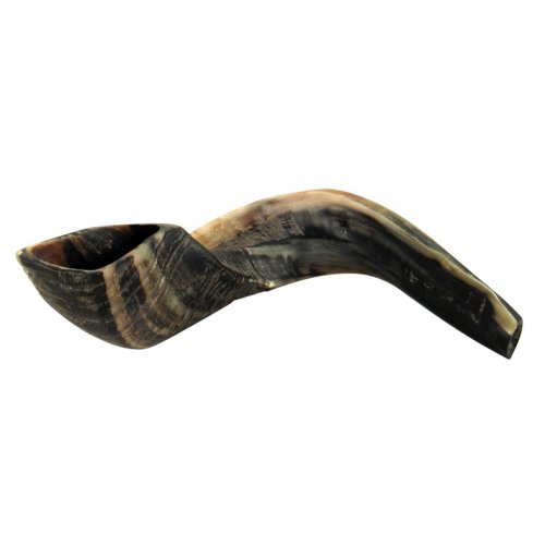 Natural Black Rams Horn Shofar - Large