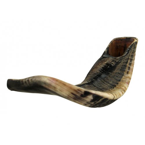 Natural Black Rams Horn Shofar - Large