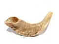 Natural Rams Horn Shofar - Small