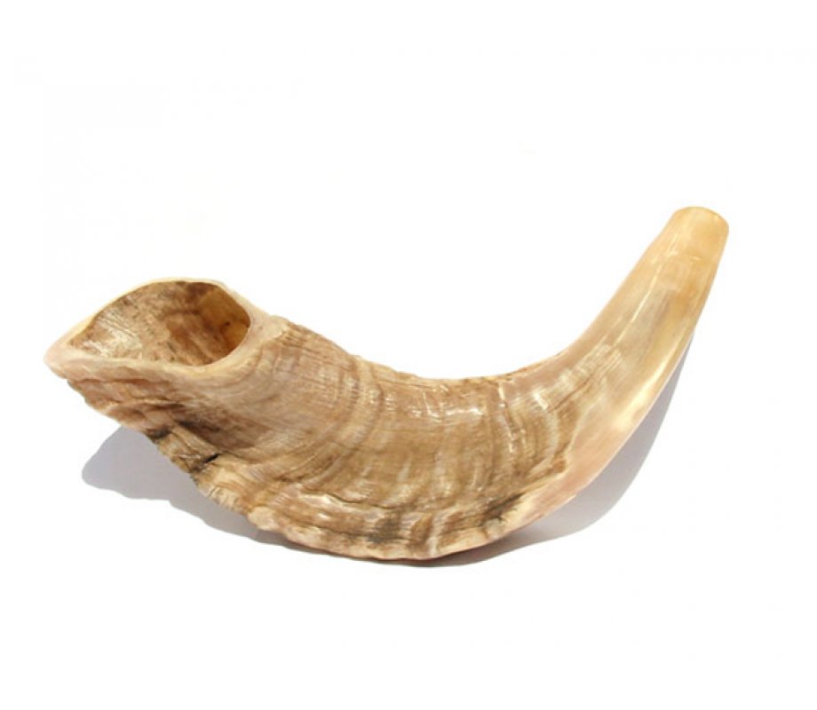 Natural Rams Horn Shofar - Small