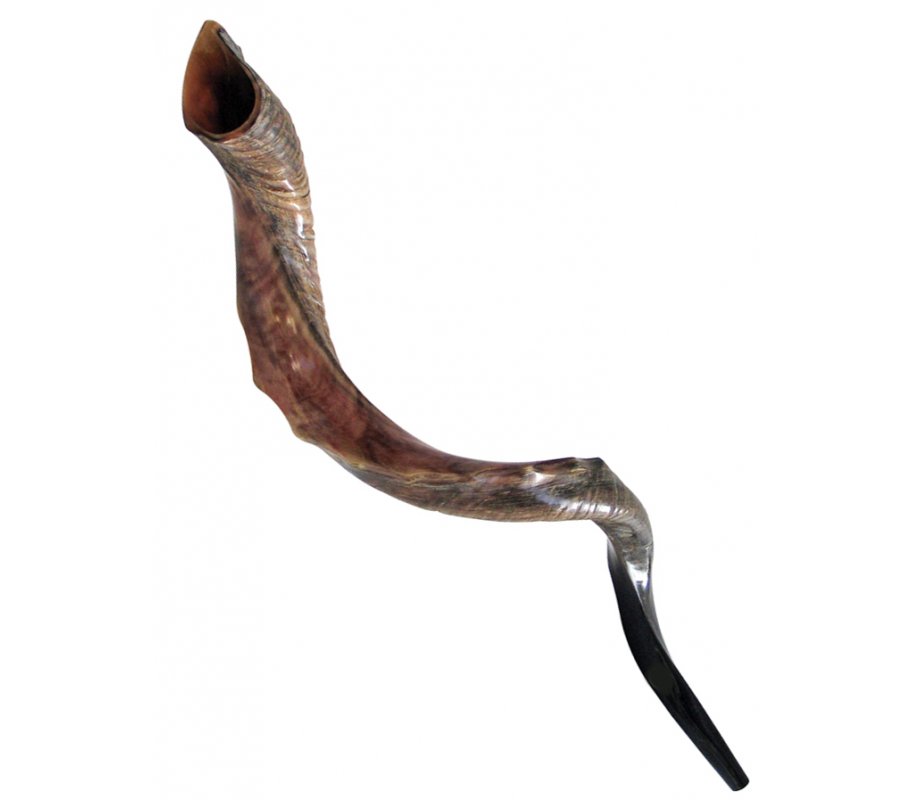 Nostalgic Crown Design Half Natural Half Polish Yemenite Shofar