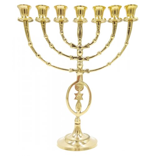 Oval Framed Grafted In Design on Stem of Seven Branch Gold Brass Menorah  12