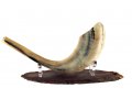 Oval Wood Stand for Shofar with Lucite Clips - For Rams Horn 11-18 Inches length