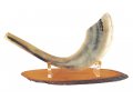 Oval Wood Stand for Shofar with Lucite Clips - For Rams Horn 11-18 Inches length