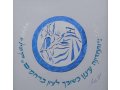 Papercut and Calligraphy Wall Decor Celebrating State of Israel - YehuditsArt