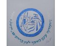 Papercut and Calligraphy Wall Decor Celebrating State of Israel - YehuditsArt