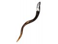 Peace Hand Painted Yemenite Shofar