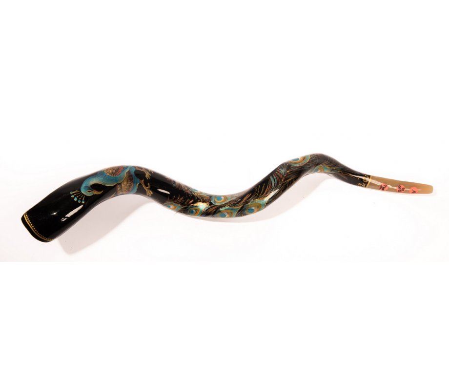 Peacock Hand Painted Yemenite Shofar