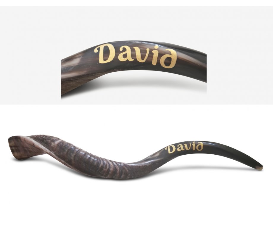 Personalized Shofar - Yemenite Kudu Horn Inscribed with Name