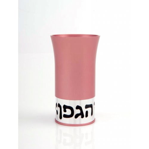 Pink Aluminum Havdalah Set Modern Design Agayof